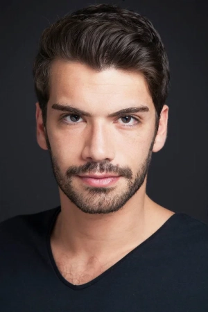 Гюрбей Илери